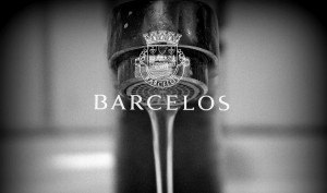 Câmara Municipal de Barcelos - Água