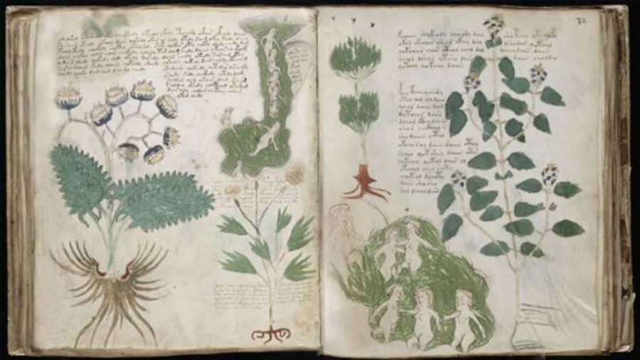 O "Código Voynich" é considerado o livro mais misterioso do mundo
