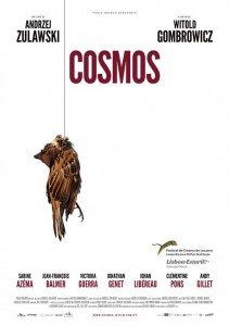 cosmos