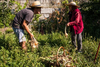 O único dos filhos que evitava as tarefas rurais, reaprendeu-as, para manter a mãe ocupada