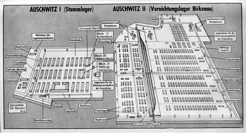 auschwitz