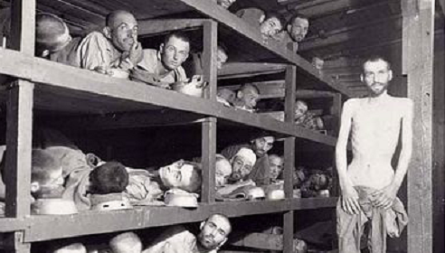 auschwitz