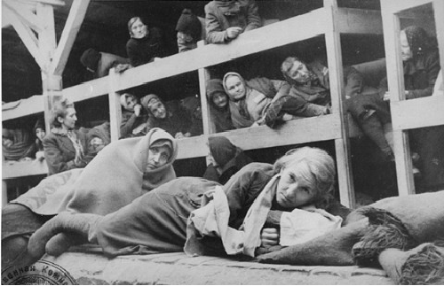 auschwitz