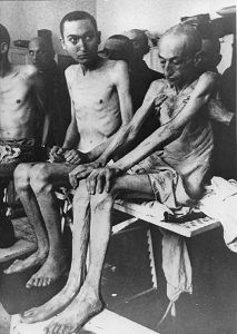 auschwitz