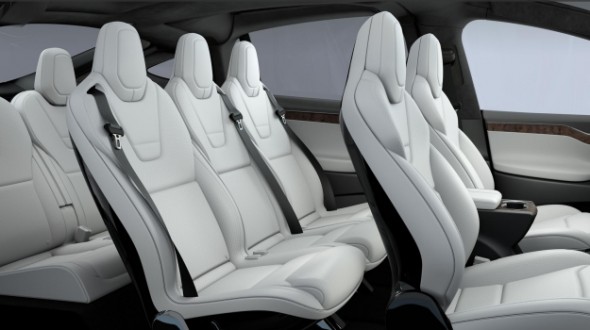 tesla-vegan-590x330