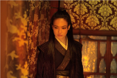 the assassin