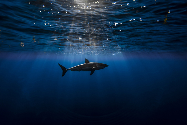 Top-Flickr-2015-foto-de-05George_Probst
