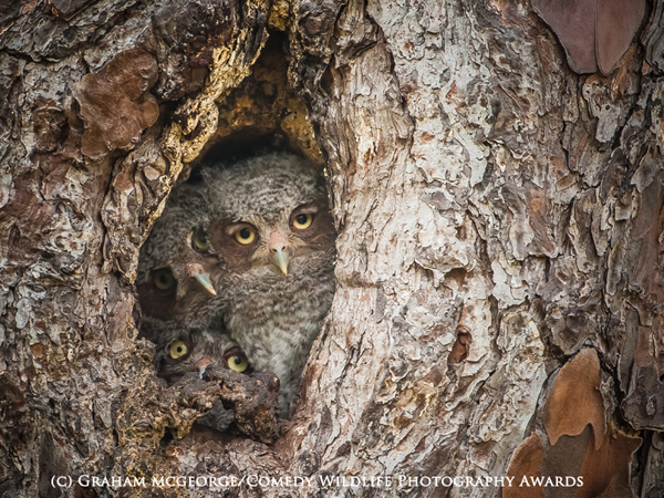 Foto de Graham McGeorge 