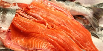 salmões