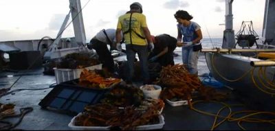 corais-amazonas-