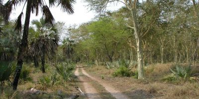 SANYO DIGITAL CAMERA