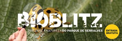 2_j2_bioblitz_15380853275729deb9c0c88