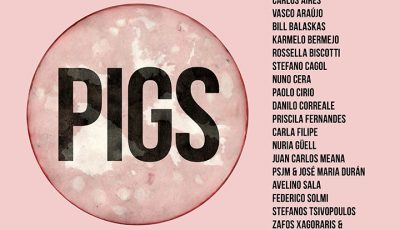 pigs