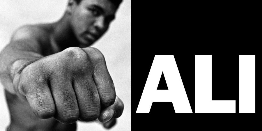 pugilista