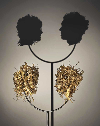 Trabalho de Tim Noble & Sue Webster
