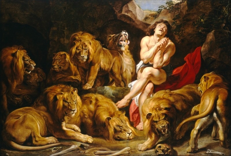 daniel-cova-leoes