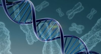 historia-genetica-2