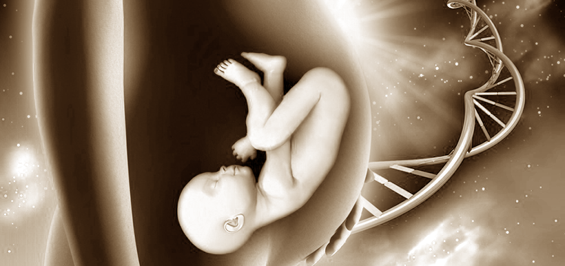 Hereditariedade, bebé na barriga da mãe | Genética