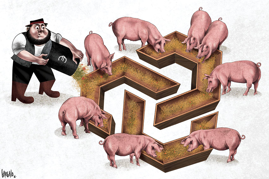 Os porcos | Cartoon de Vasco Gargalo
