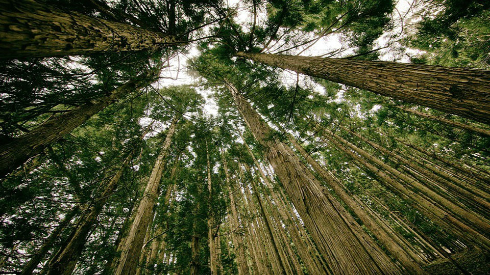 Portugal: recursos naturais