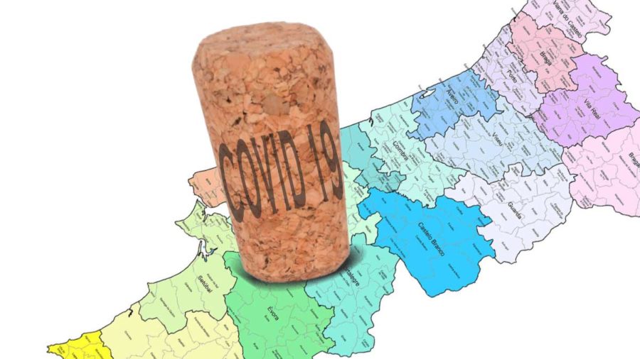 COVID-19: Os autarcas, a “Lei da rolha” e a municipalização da ...