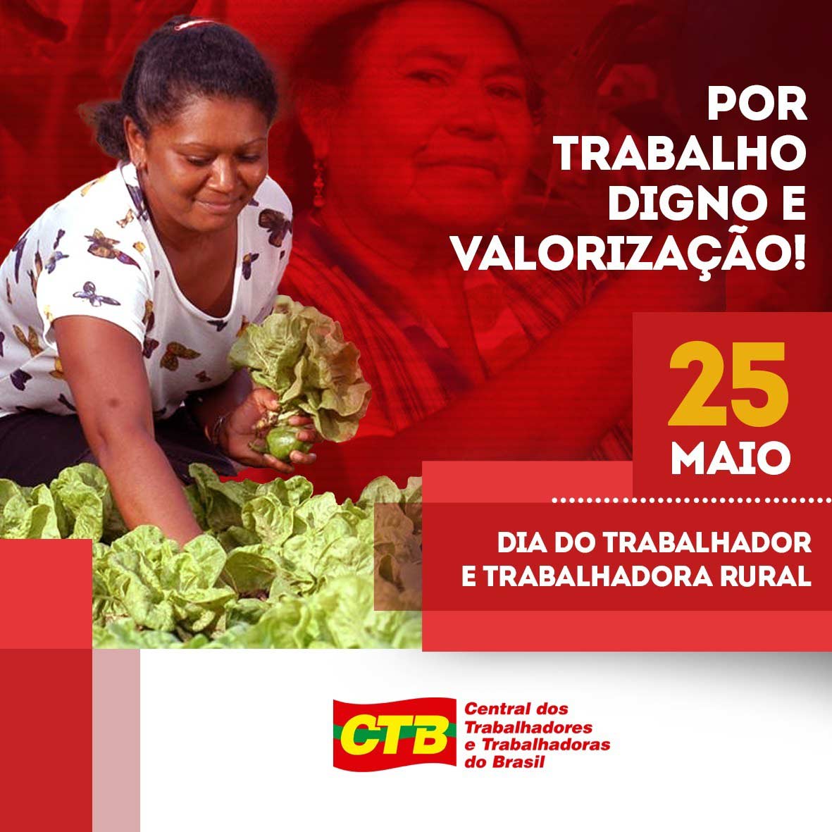 Hoje é o dia de homenagear quem produz o que comemos