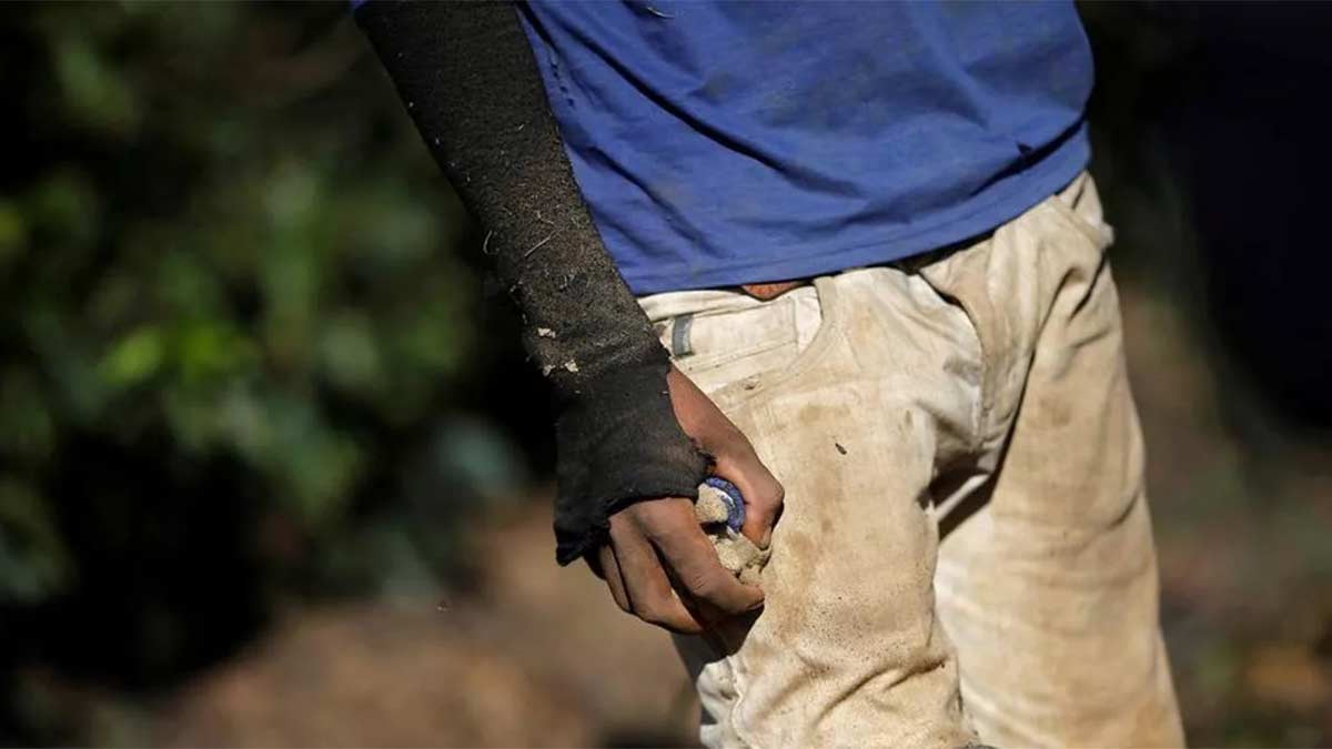 O escandaloso aumento do trabalho semiescravo
