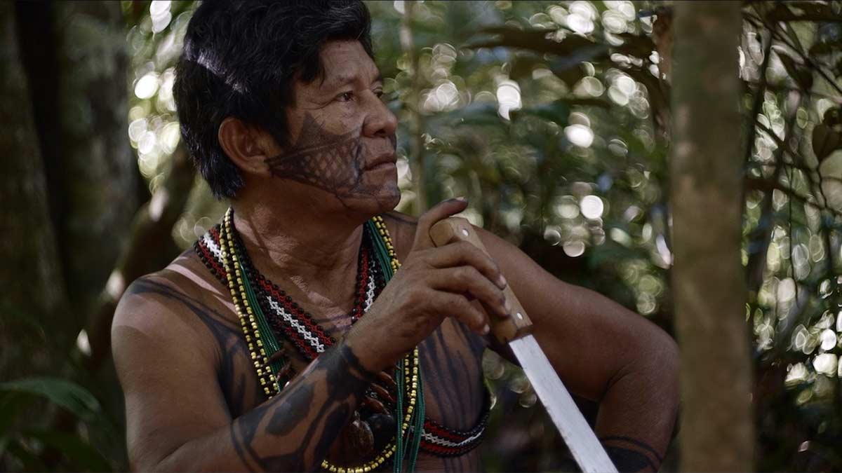 Mostra Ecofalante de Cinema faz pensar sobre o mundo que se quer