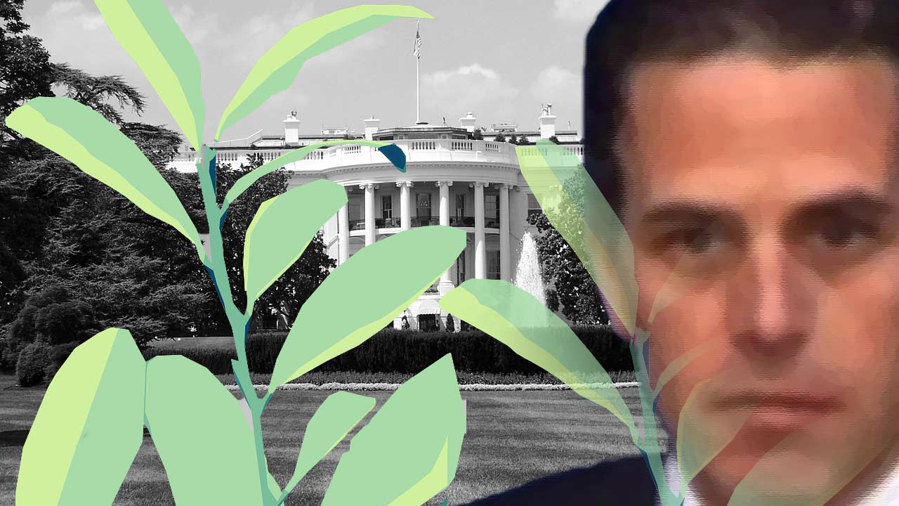 Biden: O folhetim de Verão