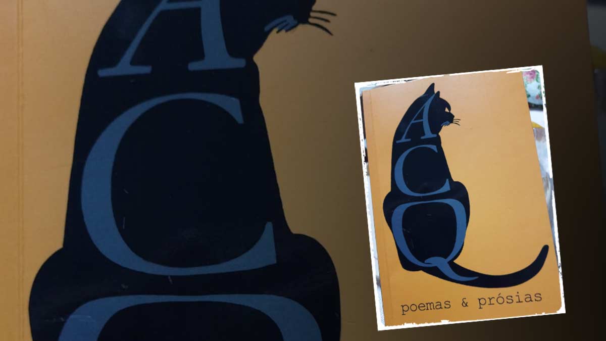 Livro Poemas & Prósias faz pensar sobre as poesias da vida e a vida das poesias